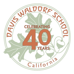 DWS 40 Years