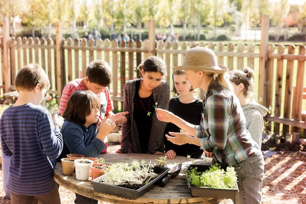 Garden teacher showing class a plant