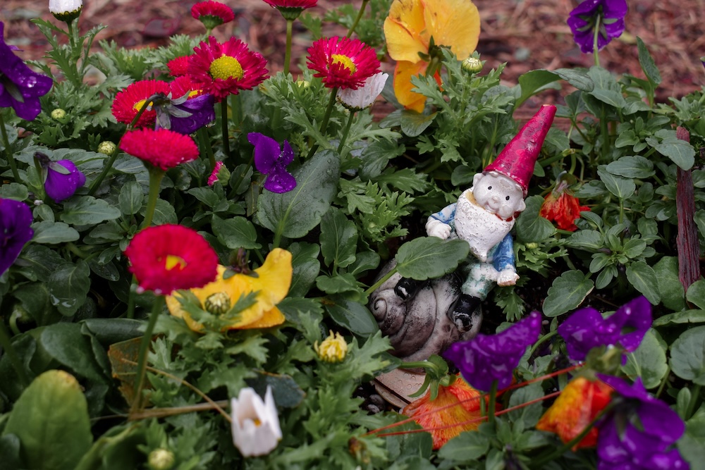 ceramic gnome in flower garden