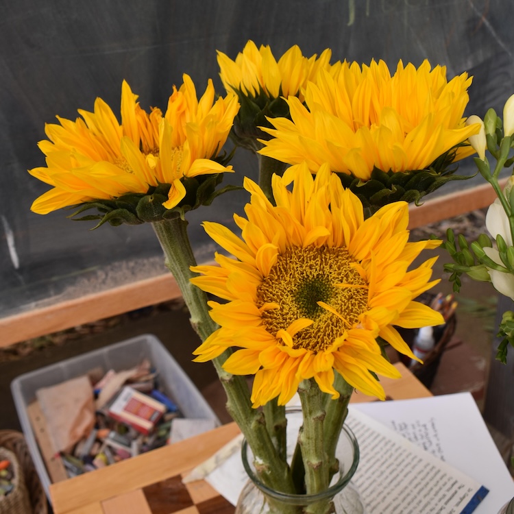 three sunflowers in a vase