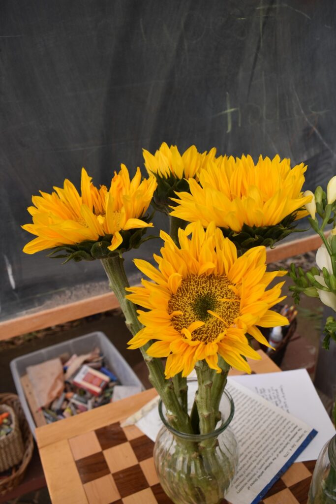 Sunflowers in a vase