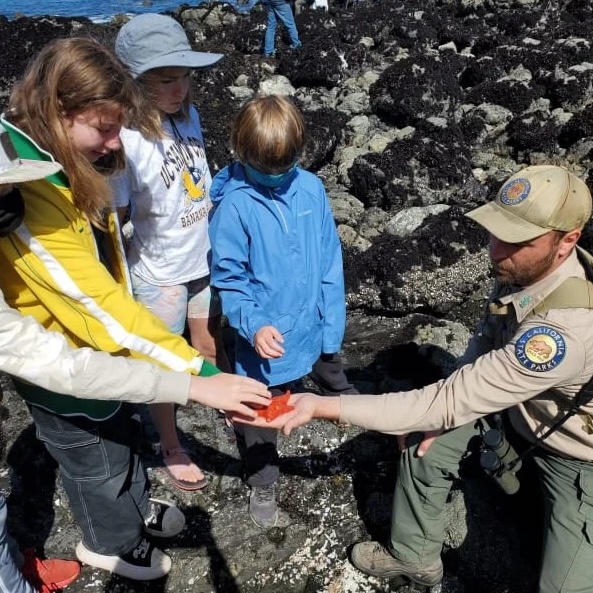 MacKerricher tidepools