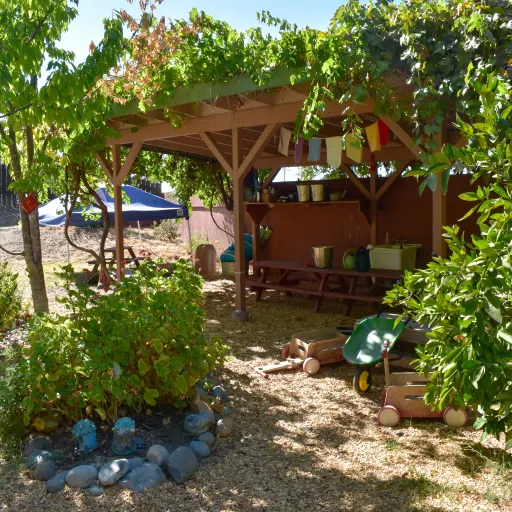 canopy outside covered in vines