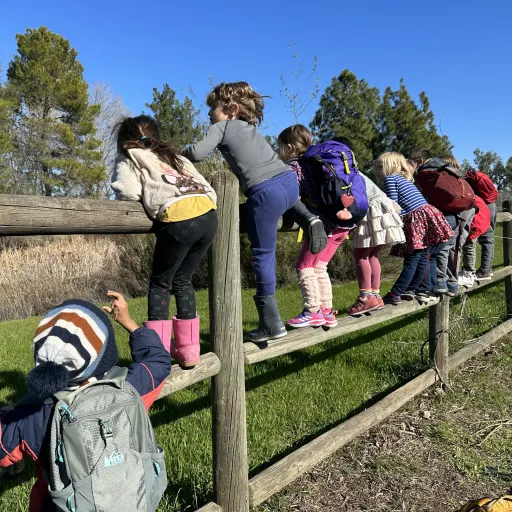 group of children standing on wooden fence