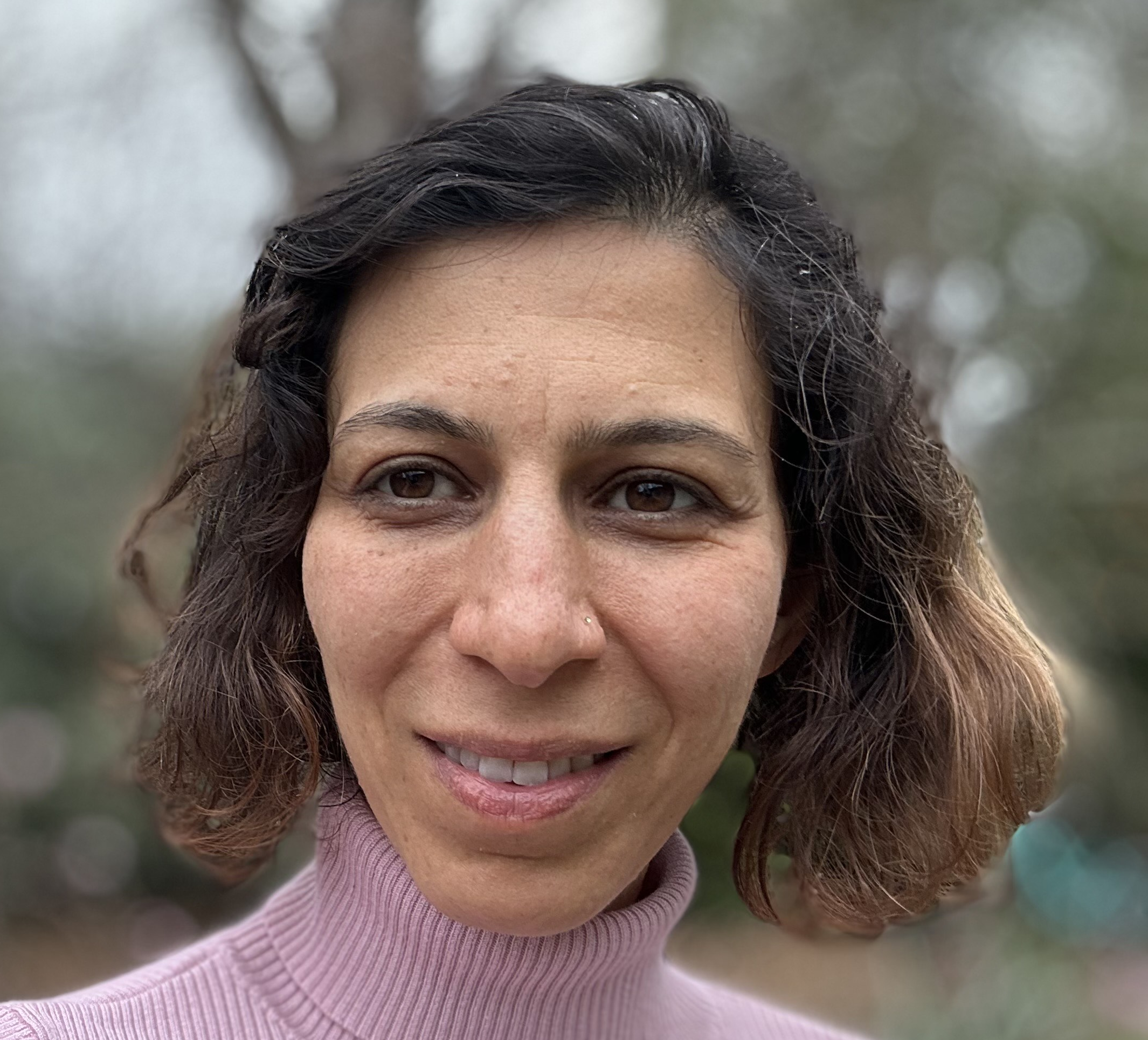 Ana Chehelmard